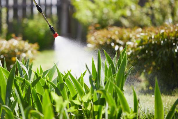 24/7 Emergency Mosquito Control experts in Maple Bluff, WI
